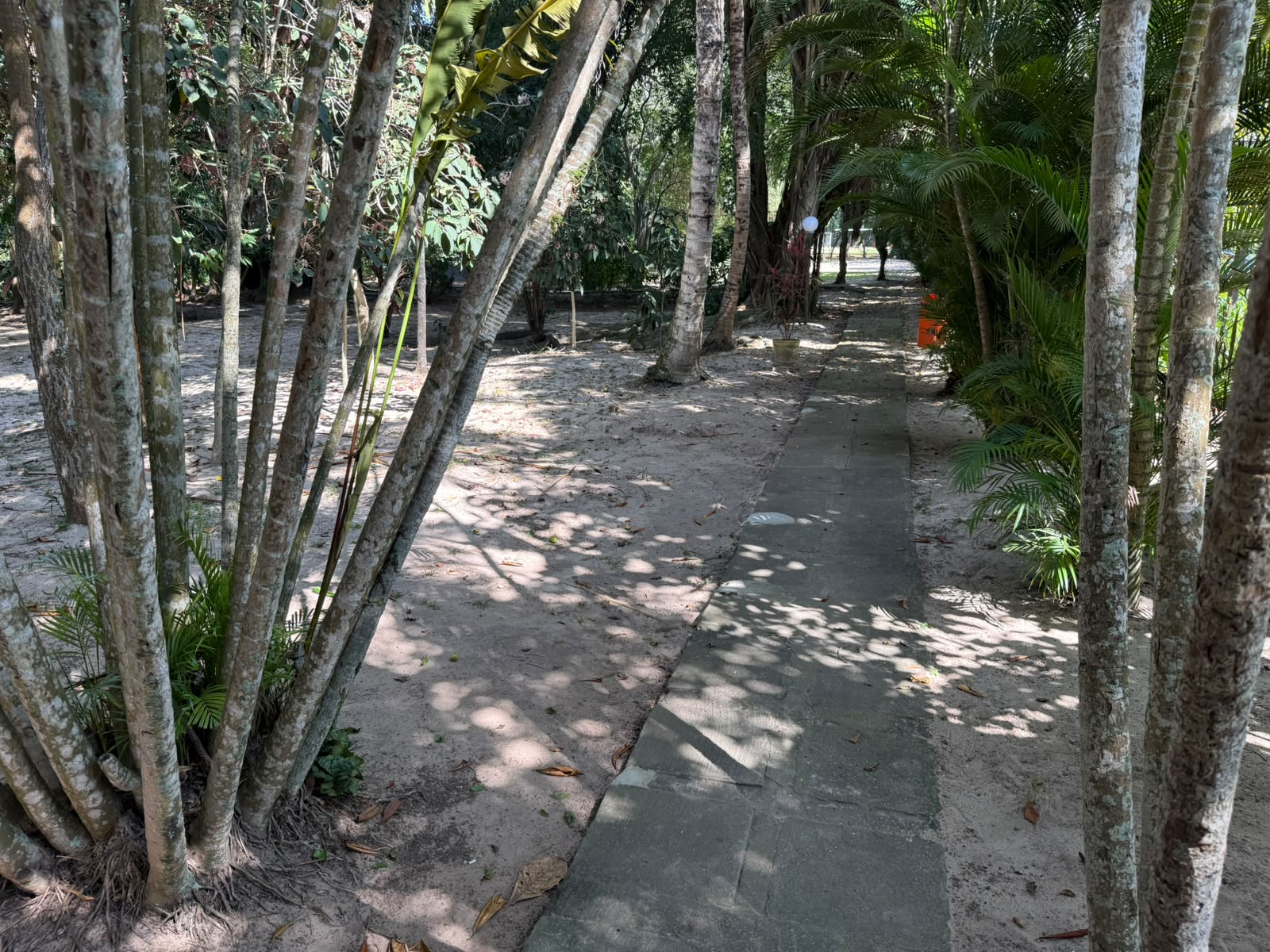 Acesso à praia — foto 3