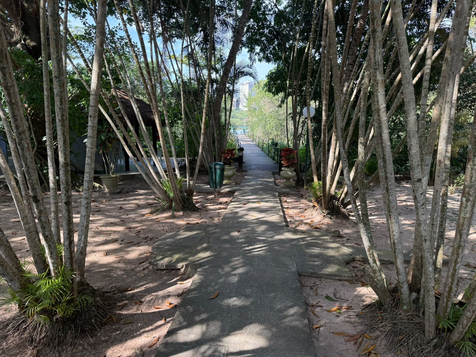 Acesso à praia — foto 7